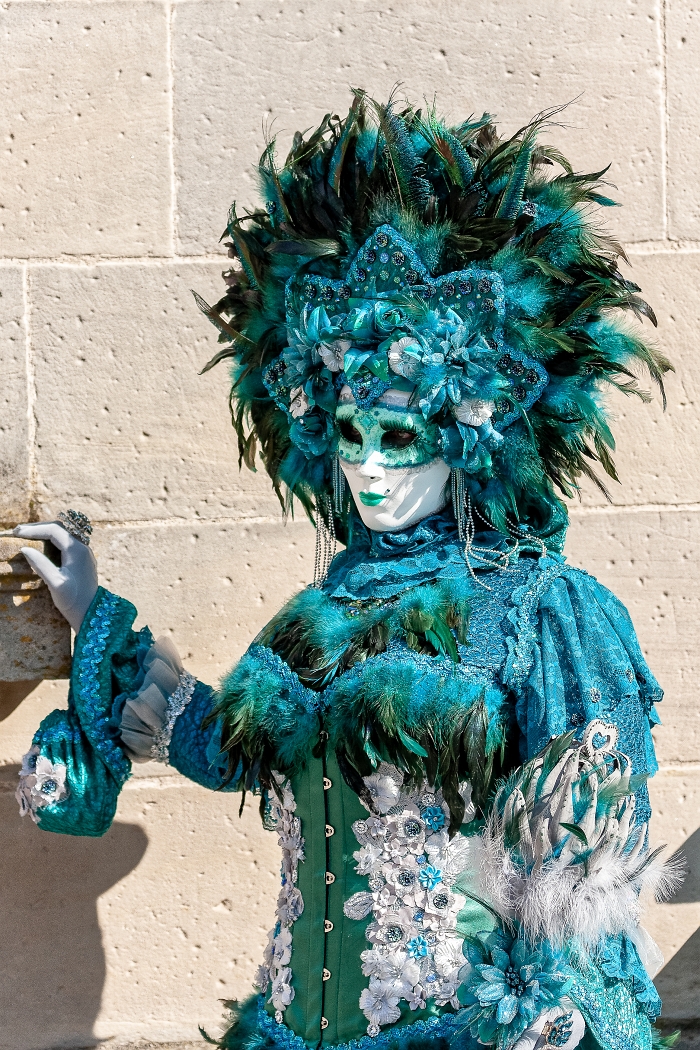 23/03/2019-Remiremont(Vosges-France)-Carnaval vénitien-->déambul