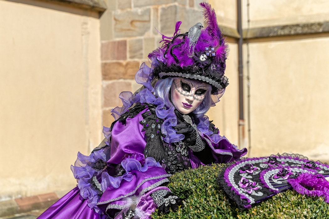 23/03/2019-Remiremont(Vosges-France)-Carnaval vénitien-->déambul