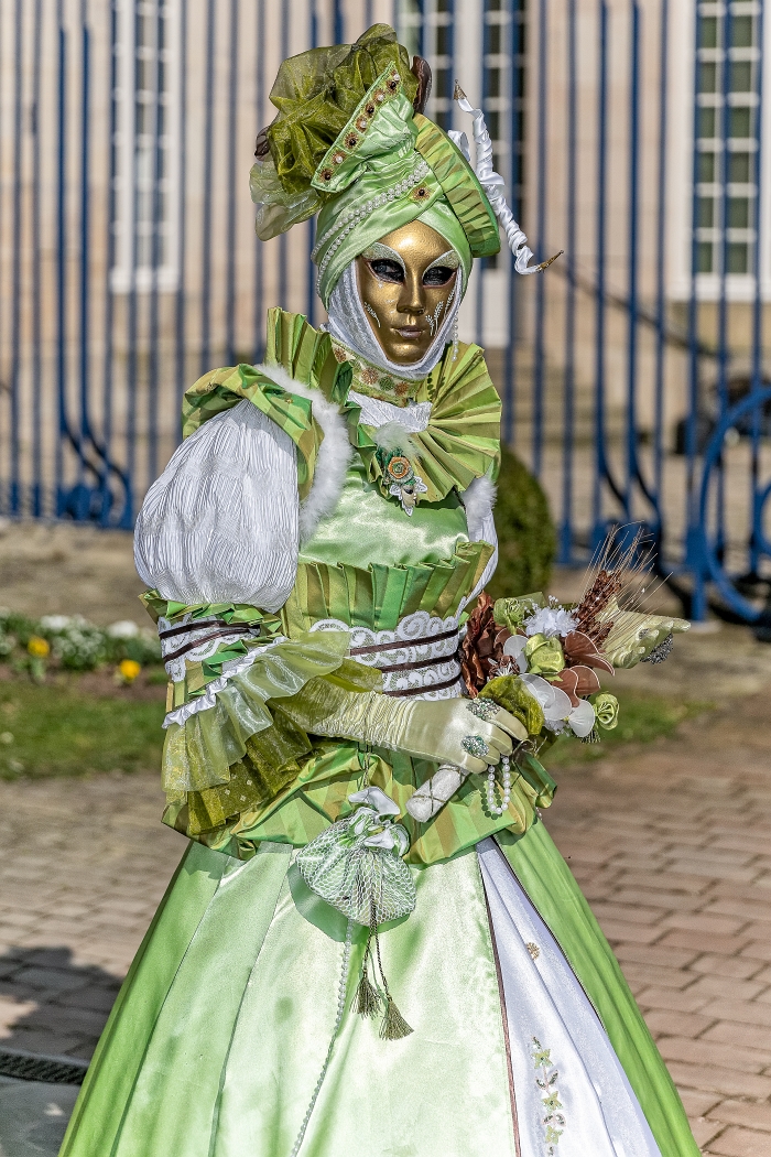 23/03/2019-Remiremont(Vosges-France)-Carnaval vénitien-->déambul