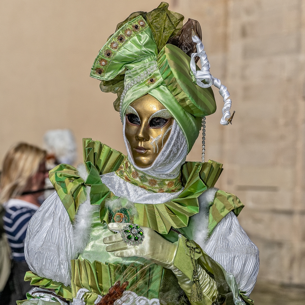 23/03/2019-Remiremont(Vosges-France)-Carnaval vénitien-->déambul