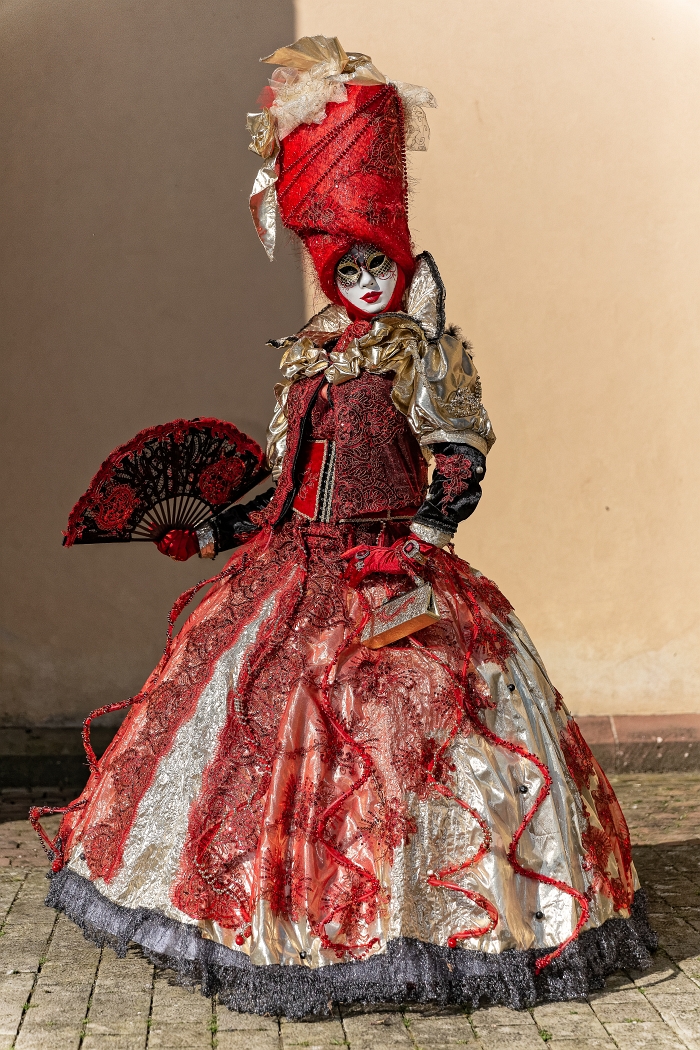 23/03/2019-Remiremont(Vosges-France)-Carnaval vénitien-->déambul