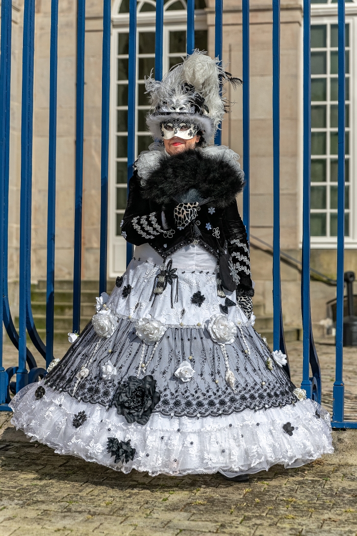 23/03/2019-Remiremont(Vosges-France)-Carnaval vénitien-->déambul