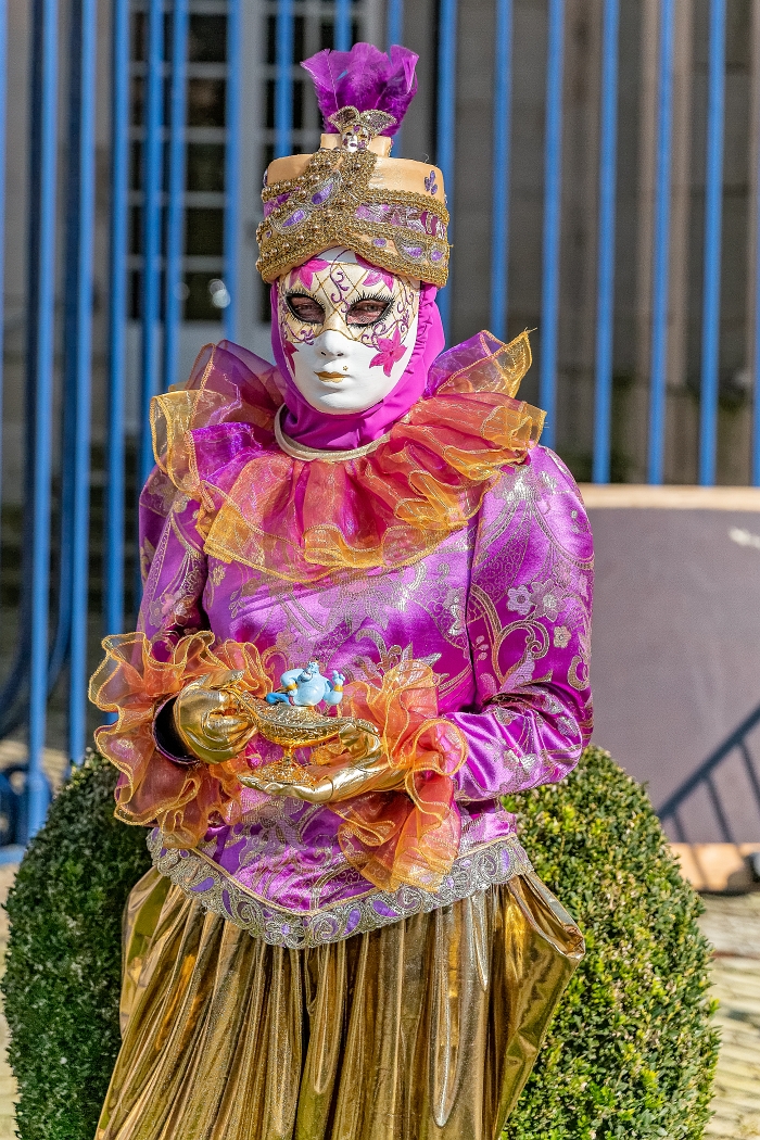 23/03/2019-Remiremont(Vosges-France)-Carnaval vénitien-->déambul