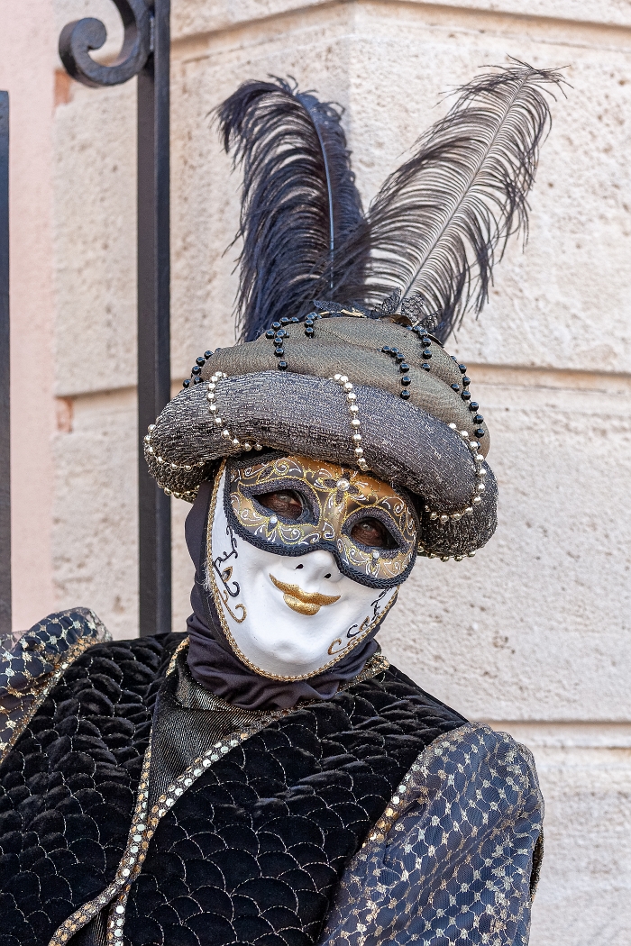 23/03/2019-Remiremont(Vosges-France)-Carnaval vénitien-->déambul