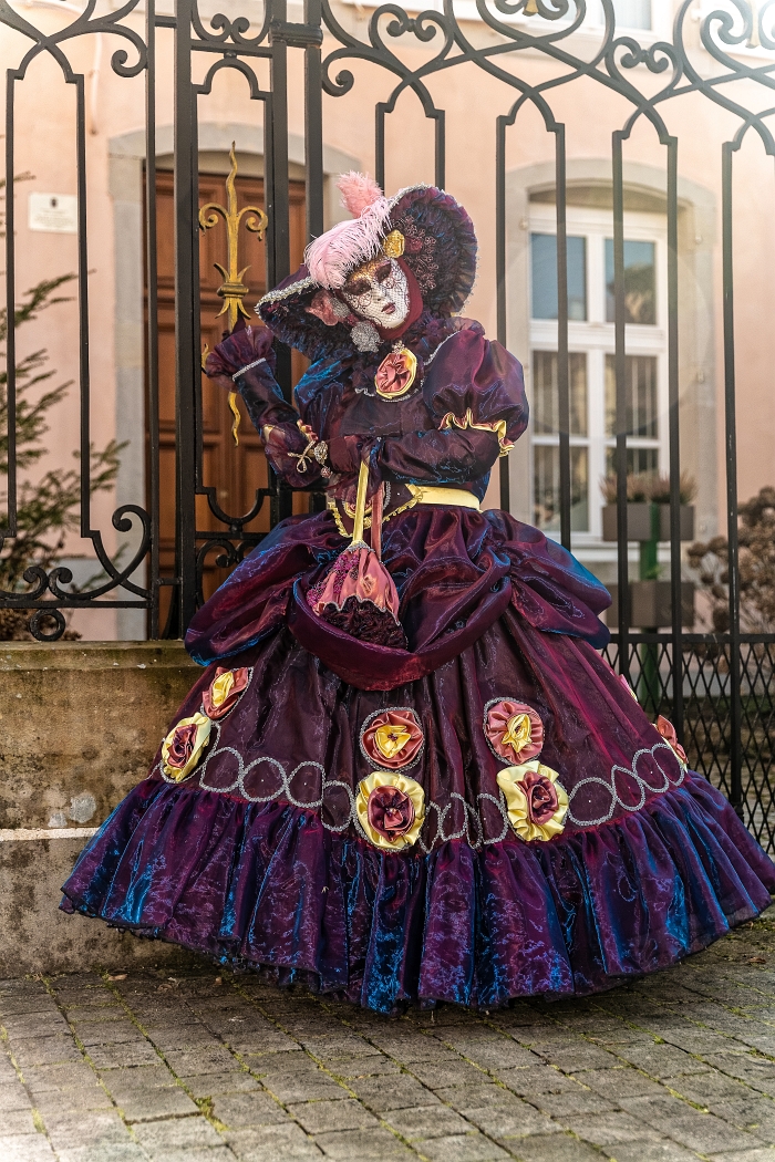 23/03/2019-Remiremont(Vosges-France)-Carnaval vénitien-->déambul