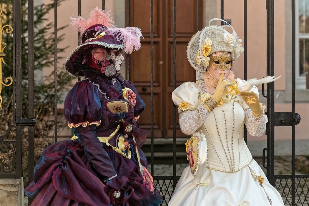 23/03/2019-Remiremont(Vosges-France)-Carnaval vénitien-->déambul