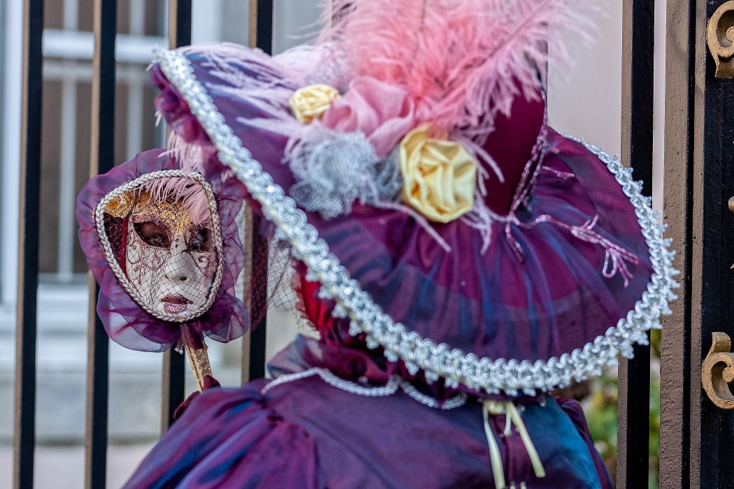 23/03/2019-Remiremont(Vosges-France)-Carnaval vénitien-->déambul