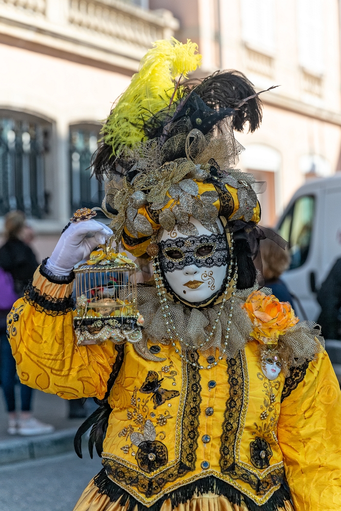 23/03/2019-Remiremont(Vosges-France)-Carnaval vénitien-->déambul