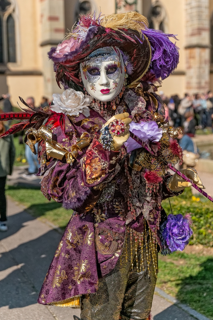 23/03/2019-Remiremont(Vosges-France)-Carnaval vénitien-->déambul