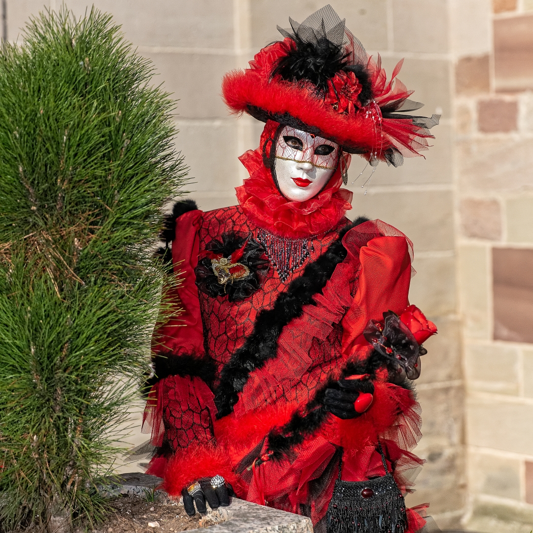 23/03/2019-Remiremont(Vosges-France)-Carnaval vénitien-->déambul