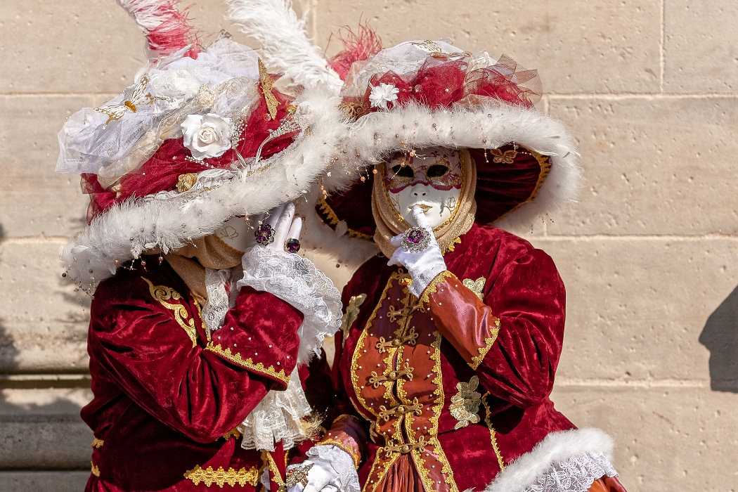 23/03/2019-Remiremont(Vosges-France)-Carnaval vénitien-->déambul