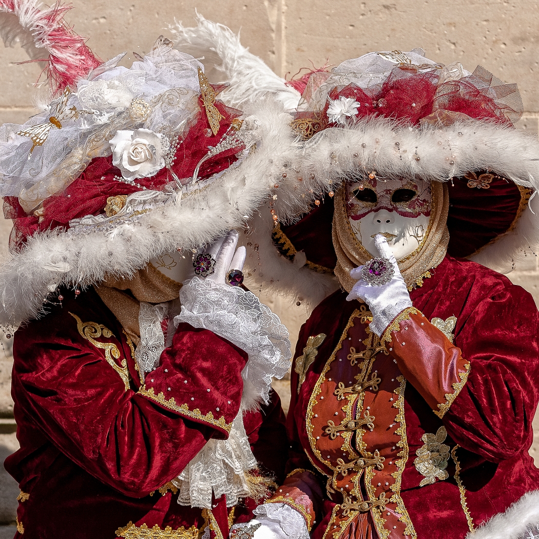23/03/2019-Remiremont(Vosges-France)-Carnaval vénitien-->déambul