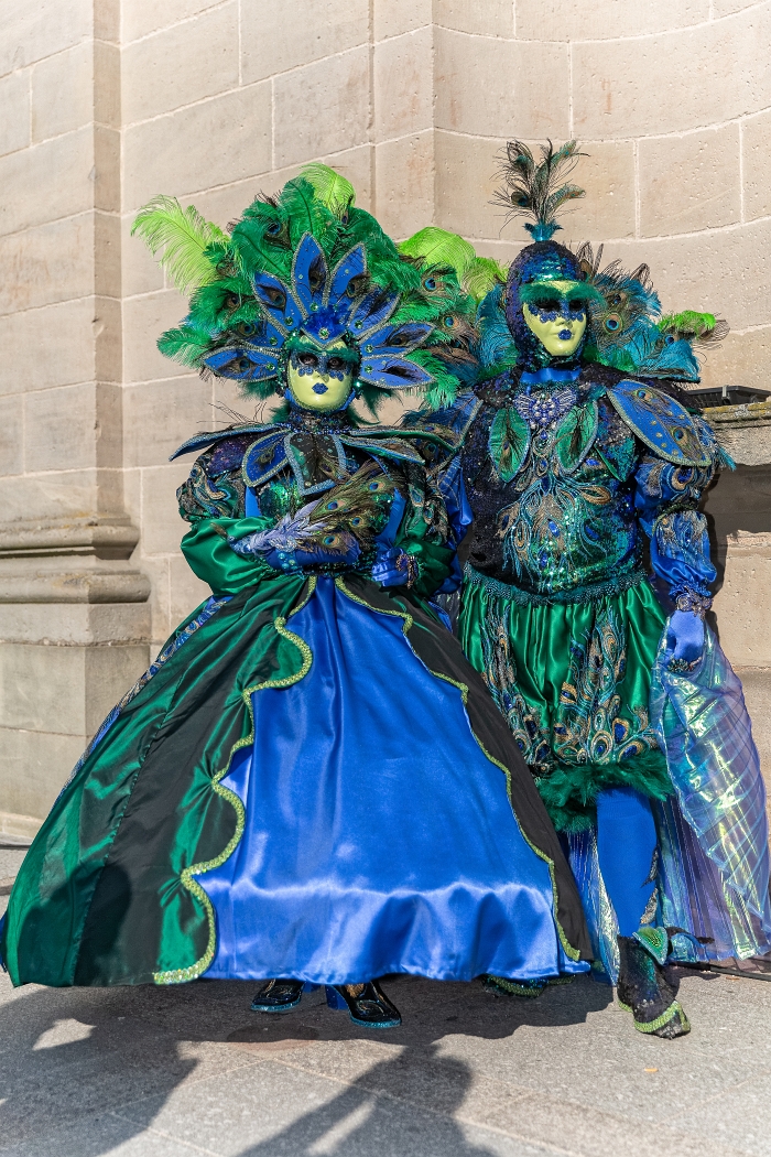 23/03/2019-Remiremont(Vosges-France)-Carnaval vénitien-->déambul