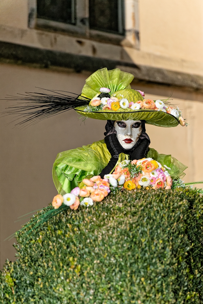 23/03/2019-Remiremont(Vosges-France)-Carnaval vénitien-->déambul