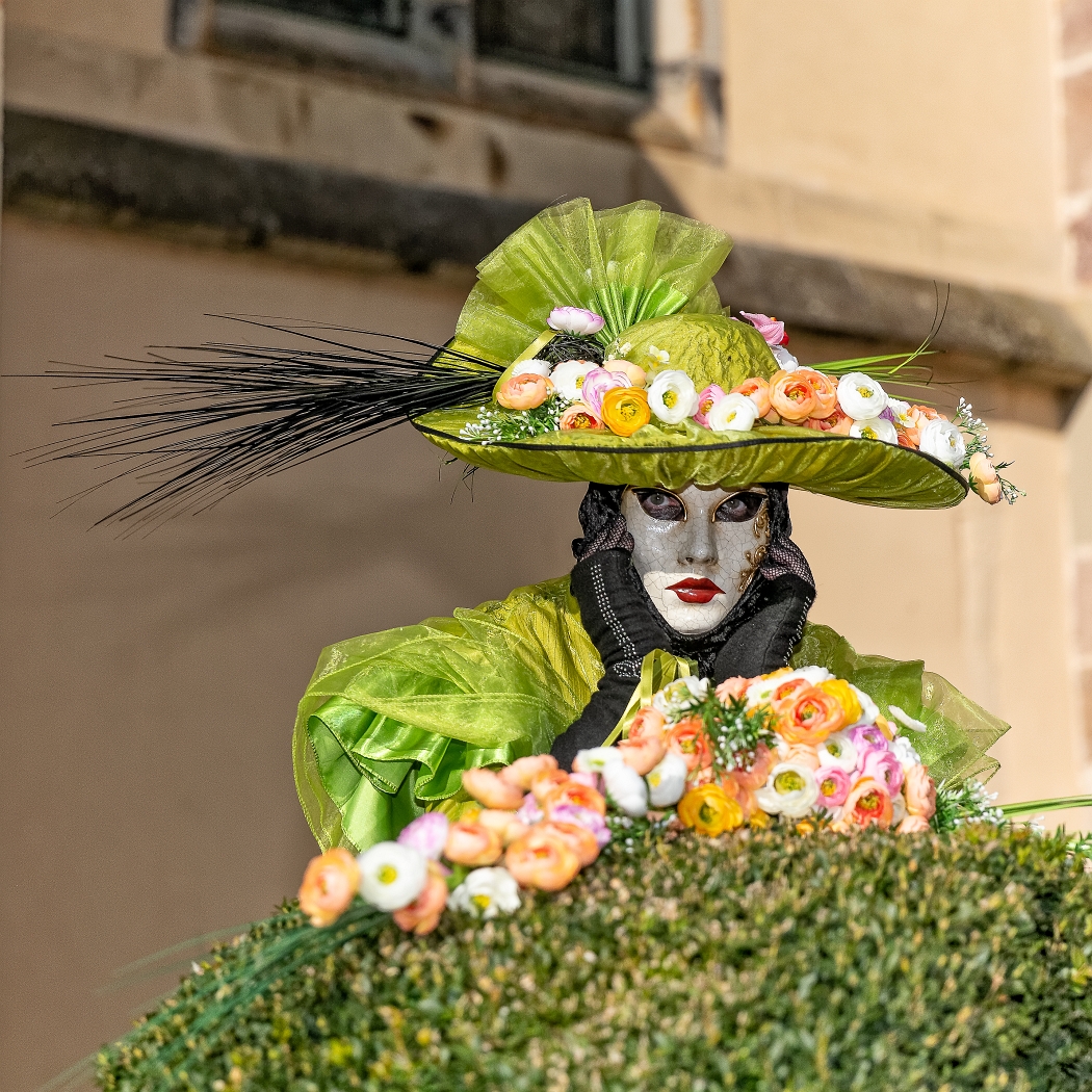 23/03/2019-Remiremont(Vosges-France)-Carnaval vénitien-->déambul