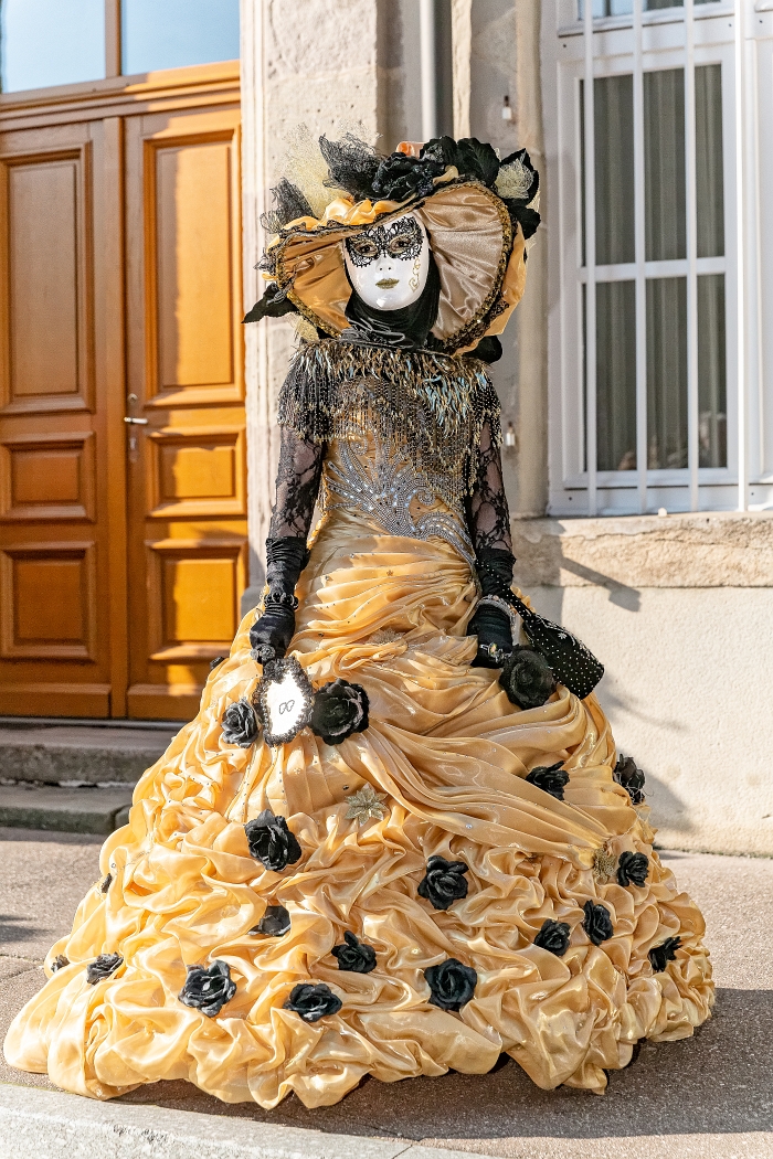 23/03/2019-Remiremont(Vosges-France)-Carnaval vénitien-->déambul