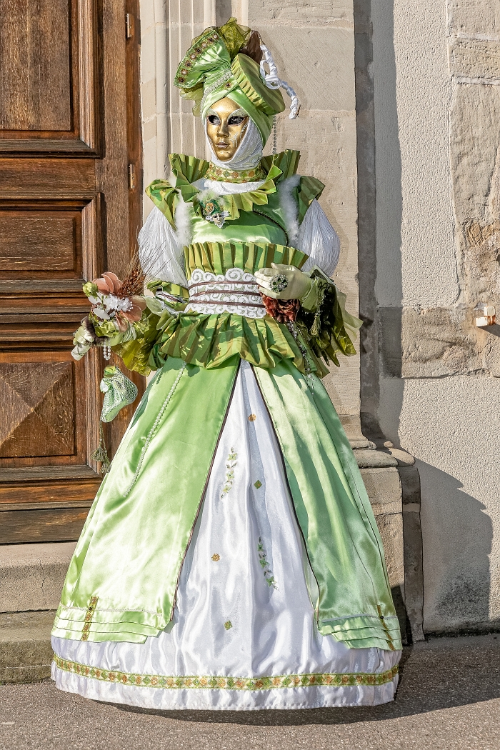 23/03/2019-Remiremont(Vosges-France)-Carnaval vénitien-->déambul