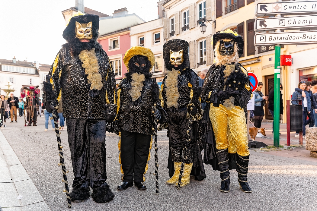 23/03/2019-Remiremont(Vosges-France)-Carnaval vénitien-->déambul