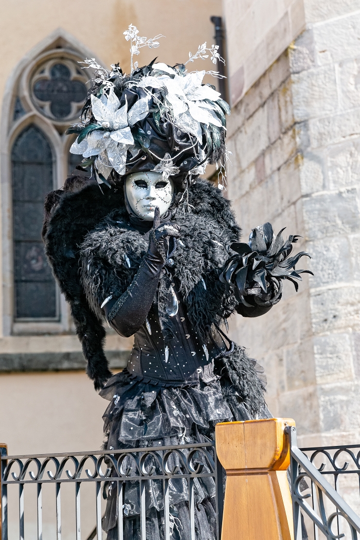 24/03/2019-Remiremont(Vosges-France)-Carnaval vénitien-->Déambul