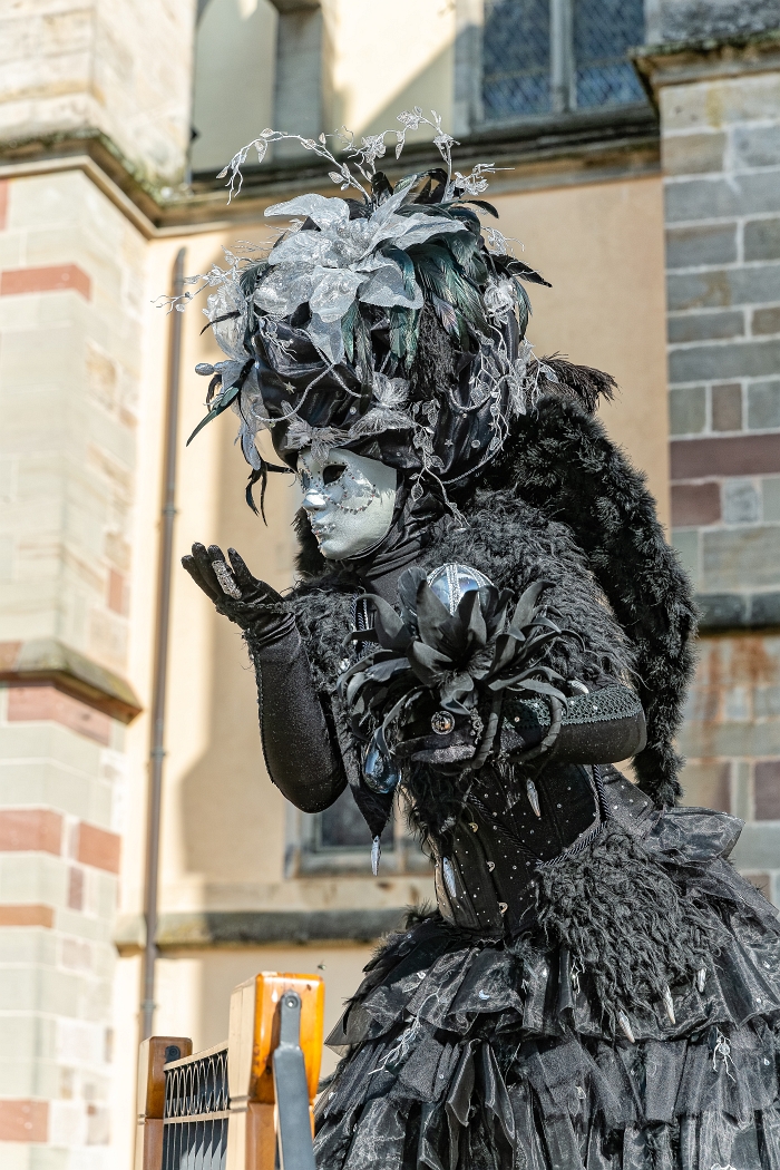 24/03/2019-Remiremont(Vosges-France)-Carnaval vénitien-->Déambul