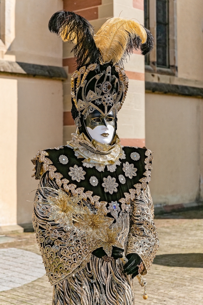 24/03/2019-Remiremont(Vosges-France)-Carnaval vénitien-->Déambul