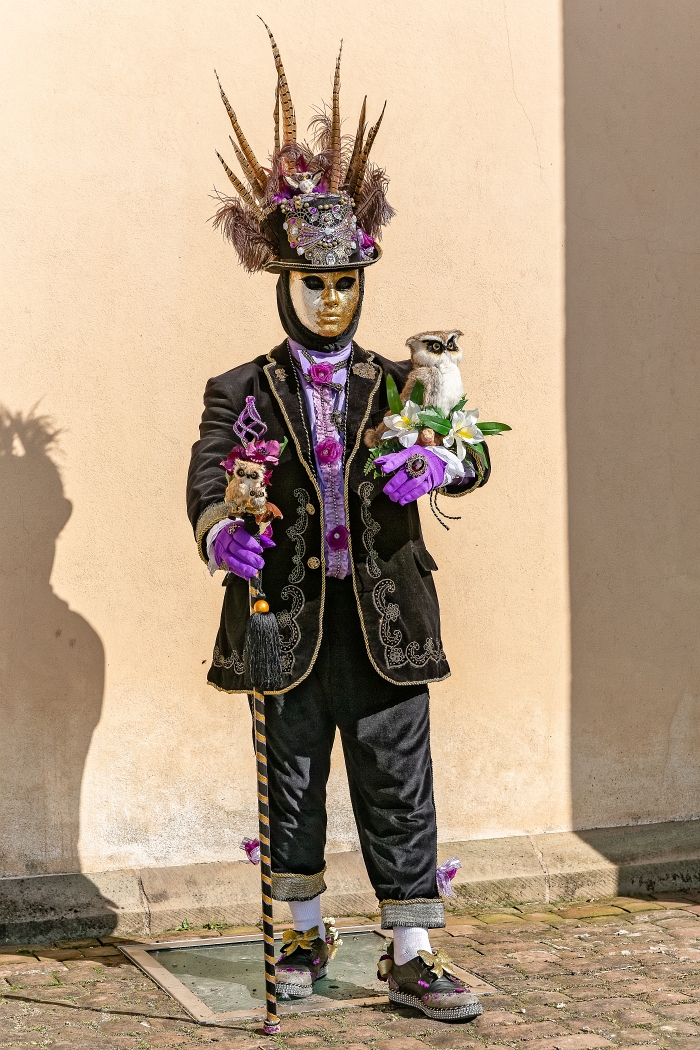 24/03/2019-Remiremont(Vosges-France)-Carnaval vénitien-->Déambul