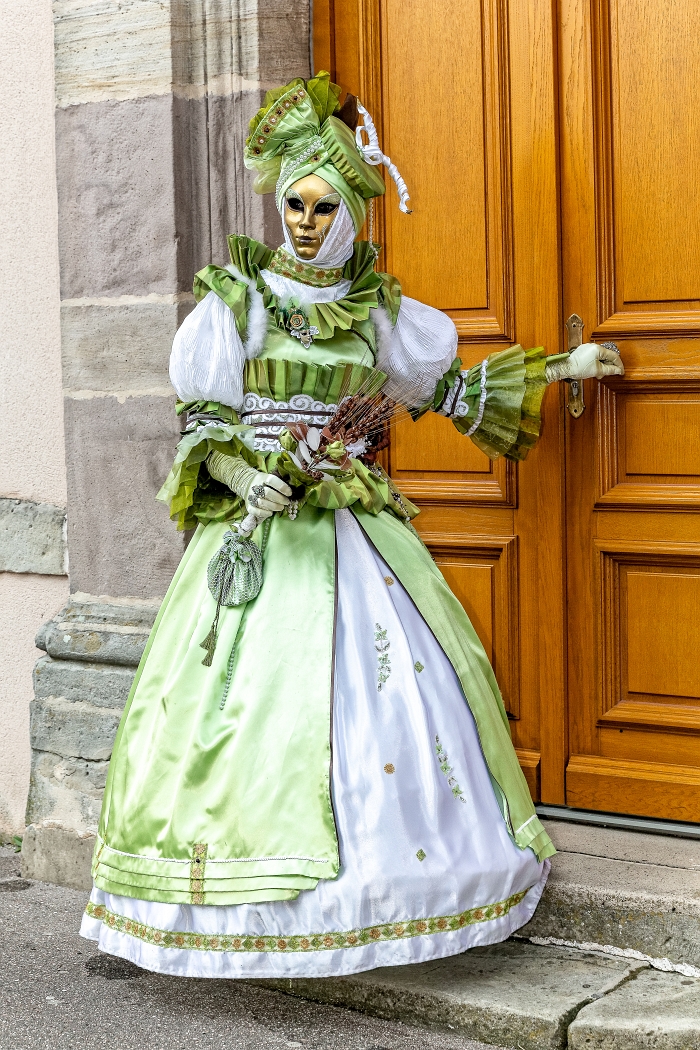 24/03/2019-Remiremont(Vosges-France)-Carnaval vénitien-->Déambul