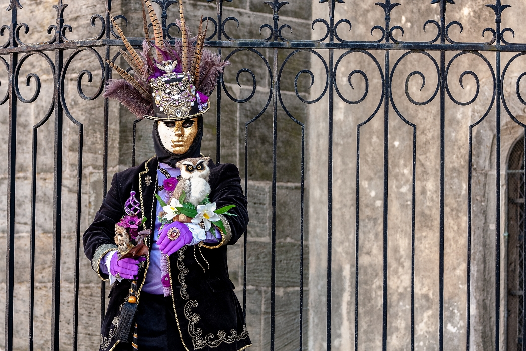 24/03/2019-Remiremont(Vosges-France)-Carnaval vénitien-->Déambul