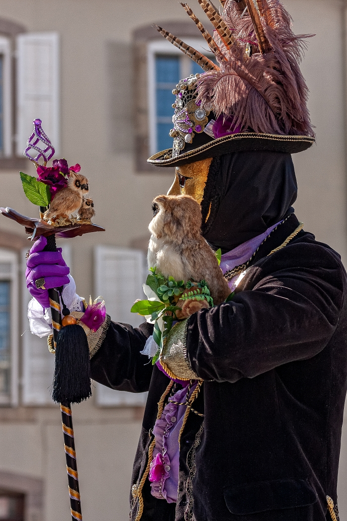 24/03/2019-Remiremont(Vosges-France)-Carnaval vénitien-->Déambul
