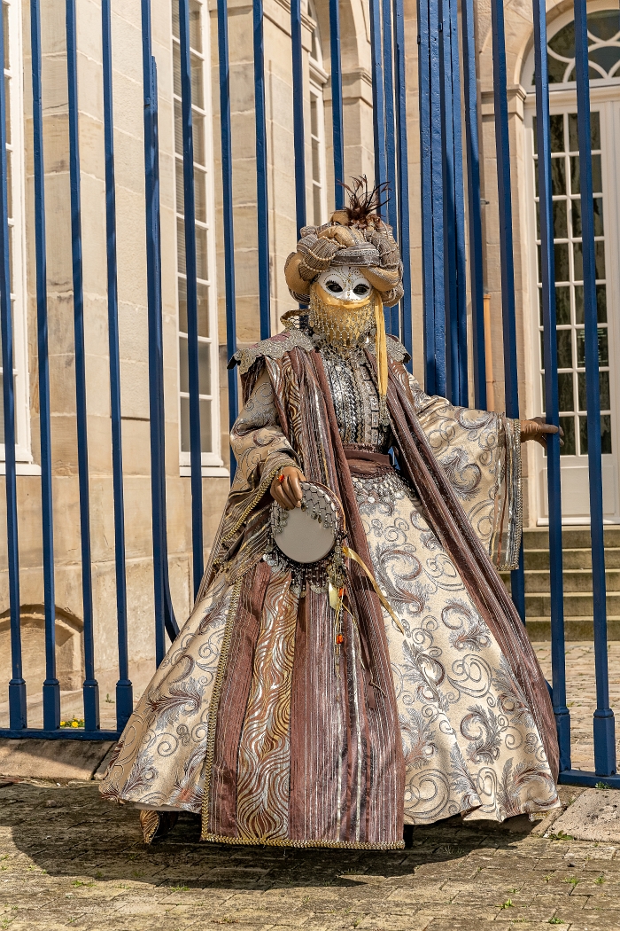 24/03/2019-Remiremont(Vosges-France)-Carnaval vénitien-->Déambul