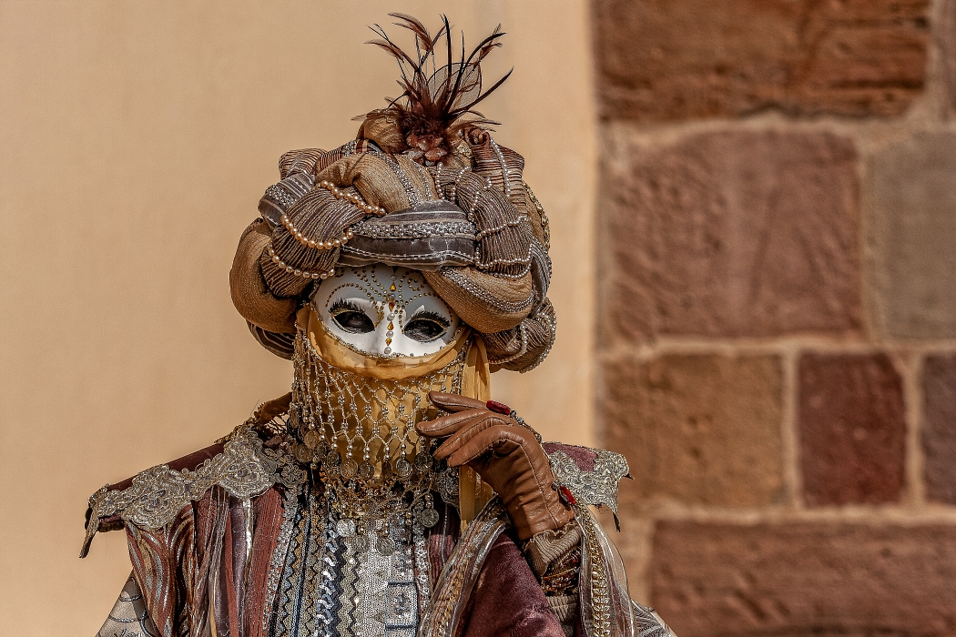 24/03/2019-Remiremont(Vosges-France)-Carnaval vénitien-->Déambul