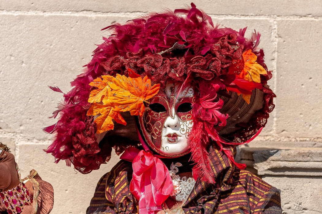 24/03/2019-Remiremont(Vosges-France)-Carnaval vénitien-->Déambul