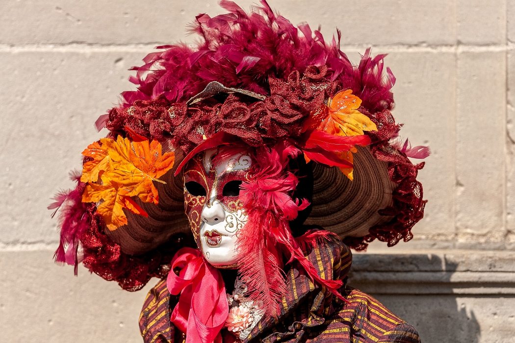 24/03/2019-Remiremont(Vosges-France)-Carnaval vénitien-->Déambul