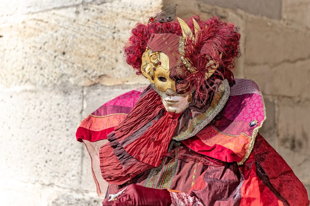 24/03/2019-Remiremont(Vosges-France)-Carnaval vénitien-->Déambul