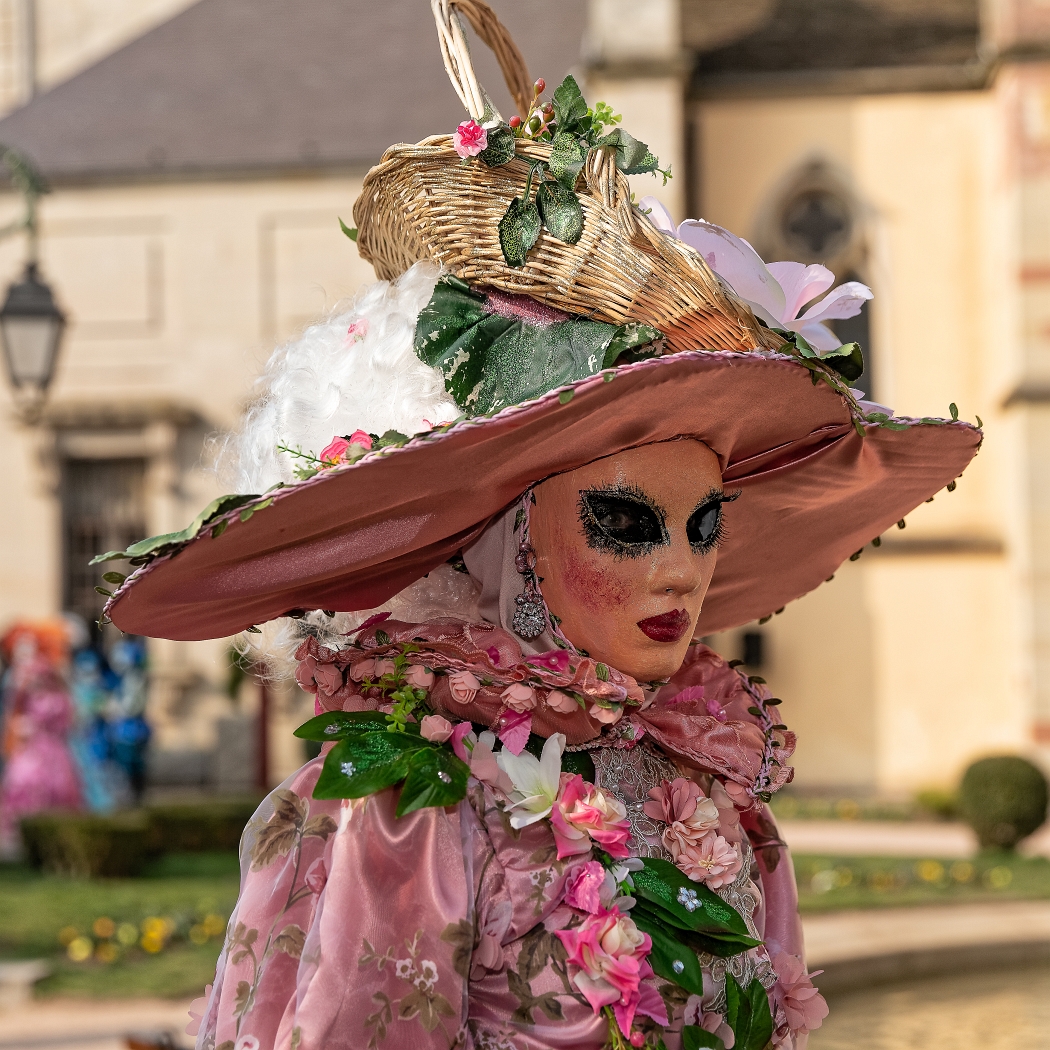 24/03/2019-Remiremont(Vosges-France)-Carnaval vénitien-->Parade