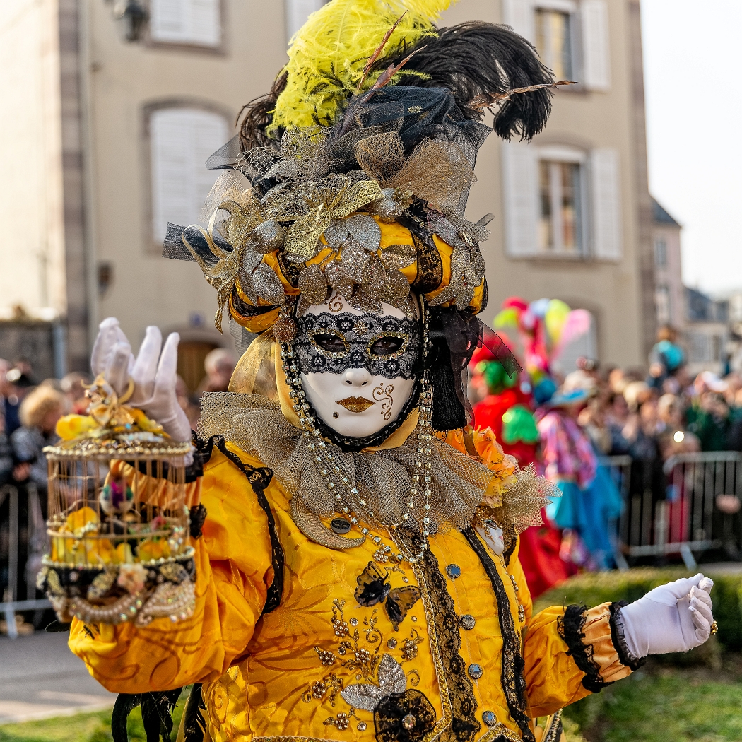 24/03/2019-Remiremont(Vosges-France)-Carnaval vénitien-->Parade