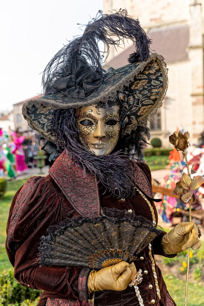 24/03/2019-Remiremont(Vosges-France)-Carnaval vénitien-->Parade