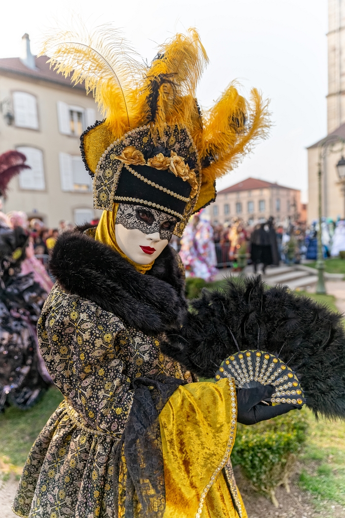 24/03/2019-Remiremont(Vosges-France)-Carnaval vénitien-->Parade