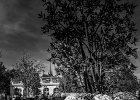 20211010-1006-p5 - 10/10/2021-Nancy-Jardin Ephémère