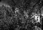20211010-1013-p5 - 10/10/2021-Nancy-Jardin Ephémère