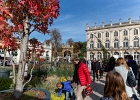 20211010-1015-p5 - 10/10/2021-Nancy-Jardin Ephémère
