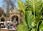 Le jardin éphémère