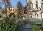 20211010-1020-p5 - 10/10/2021-Nancy-Jardin Ephémère