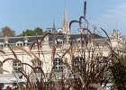20231008 1051 P11 - 08/10/2023-Nancy-Jardin EphÃ©mÃ¨re
