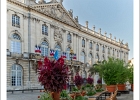 20231008-1008-p5t70 s_br bs - 08/10/2023-Nancy-Jardin Ã©phÃ©mÃ¨re