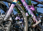 20240816 1030 P11 - 16/08/2024-Remiremont(Vosges-F)-Tour de France