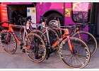 20240816 1005 P11-s-br-bs - 16/08/2024-Remiremont(Vosges-F)-Tour de France
