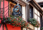 20240820 1007 P22 - 20/08/2024-Riquewihr(Alsace)