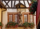 20240820 1009 P22 - 20/08/2024-Riquewihr(Alsace)