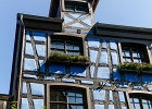 20240820 1010 P11 - 20/08/2024-Riquewihr(Alsace)